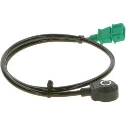 detonacijos jutiklis
                                BOSCH                                0261231038, BOSCH, 0261231038, auto