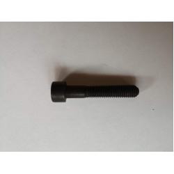Varžtas DIN912 M8x45
                                EU                                                161856, Nenurodytas g