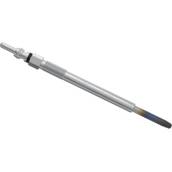 Žvakė dyzelio
                                BOSCH                                                0250204002, BOSCH, 02502
