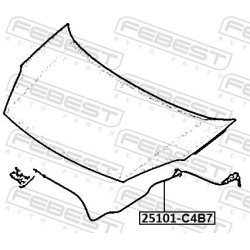 gaubto trosas
                                FEBEST                                25101-C4B7, Nenurodytas gamintojas, 25101