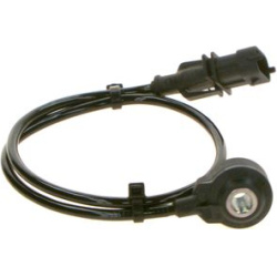 detonacijos jutiklis
                                BOSCH                                0261231167, BOSCH, 0261231167, auto
