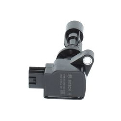 ritė, uždegimas
                                BOSCH                                098622A202, BOSCH, 098622A202, auto de