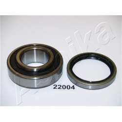 rato guolis
                                ASHIKA                                                44-22004, ASHIKA, 44-22004,