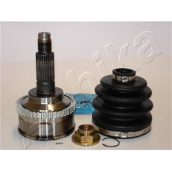 pusašio šarnyras
                                ASHIKA                                                62-03-310, ASHIKA, 6