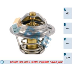 termostatas, aušinimo skystis
                                FAE                                5202987, Nenurodytas gamint