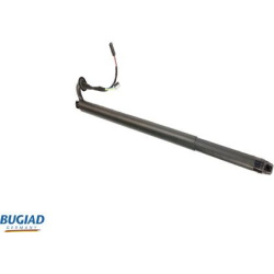 dujinė spyruoklė, bagažinė
                                BUGIAD                                BRD50734, Nenurodytas ga