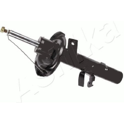 amortizatorius
                                ASHIKA                                                MA-00877, ASHIKA, MA-008