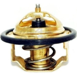 termostatas, aušinimo skystis
                                MEAT &amp; DORIA                                              