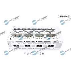 cilindro galvutė
                                Dr.Motor Automotive                                                DRM61403