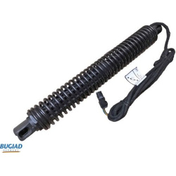 dujinė spyruoklė, bagažinė
                                BUGIAD                                                BRD50709