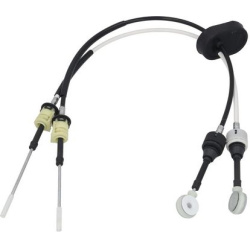 trosas, neautomatinė transmisija
                                KAMOKA                                                CP010
