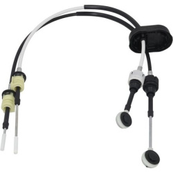 trosas, neautomatinė transmisija
                                KAMOKA                                                CP008