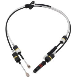 trosas, neautomatinė transmisija
                                KAMOKA                                                CP011
