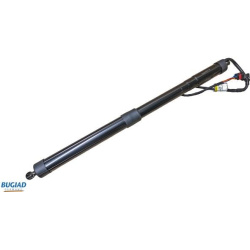 dujinė spyruoklė, bagažinė
                                BUGIAD                                                BRD50719