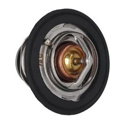 termostatas, aušinimo skystis
                                KAMOKA                                                7710091,