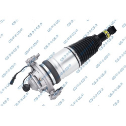 pneumatinės spyruoklės statramstis
                                GSP                                                30900