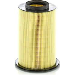 Filtras oro
                                MANN-FILTER                                                C16134/2-X, MANN-FILTE