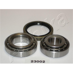 rato guolis
                                ASHIKA                                                44-23002, ASHIKA, 44-23002,