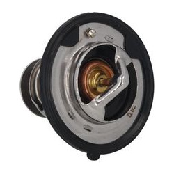 termostatas, aušinimo skystis
                                KAMOKA                                                7710102,
