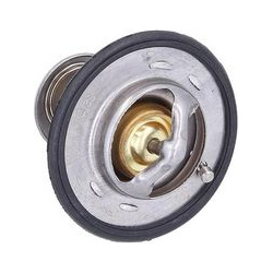 termostatas, aušinimo skystis
                                KAMOKA                                                7710250,
