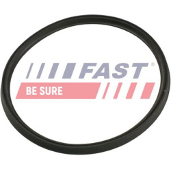 tarpiklis, turbinos oro žarna
                                FAST                                                FT48965, F