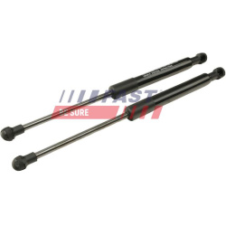 dujinė spyruoklė, gaubtas
                                FAST                                                FT94813K, FAS