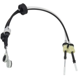 trosas, neautomatinė transmisija
                                KAMOKA                                                CP006