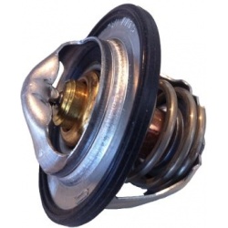 termostatas, aušinimo skystis
                                BorgWarner (Wahler)                                           