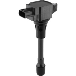 ritė, uždegimas
                                BorgWarner (BERU)                                                ZSE302, Bo