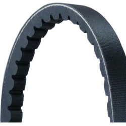 V formos diržas
                                CONTINENTAL CTAM                                                AVX13X1518, 