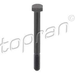 varžtas
TOPRAN 116 953, Nenurodytas gamintoja