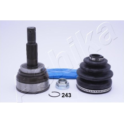 pusašio šarnyras
                                ASHIKA                                                62-02-243, ASHIKA, 6