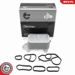 alyvos aušintuvas, variklio alyva
                                ESEN SKV                                31SKV381, Nenurody