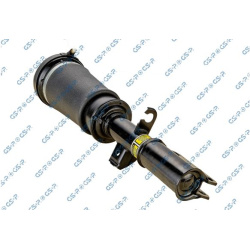 pneumatinės spyruoklės statramstis
                                GSP                                                30900