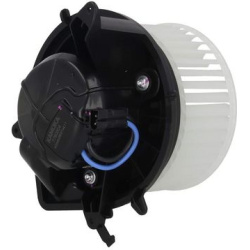 vidaus pūtiklis
                                KAMOKA                                                7790204, KAMOKA, 77902