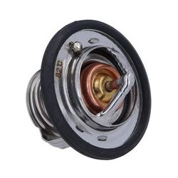 termostatas, aušinimo skystis
                                KAMOKA                                                7710172,