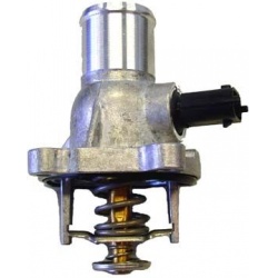 termostatas, aušinimo skystis
                                BorgWarner (Wahler)                                           