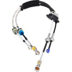 trosas, neautomatinė transmisija
                                KAMOKA                                                CP006