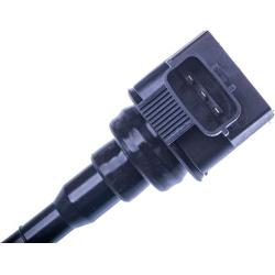 ritė, uždegimas
                                DENCKERMANN                                                E100111, Nenurod