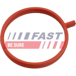 tarpiklis, turbinos oro žarna
                                FAST                                                FT48963, F