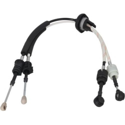 trosas, neautomatinė transmisija
                                KAMOKA                                                CP008