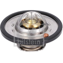 Termostatas, aušinimo skystis
                                FEBI BILSTEIN                                                1