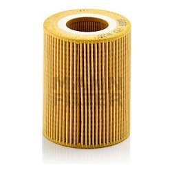 alyvos filtras
                                MANN-FILTER                                HU826X, MANN-FILTER, HU826X, auto d