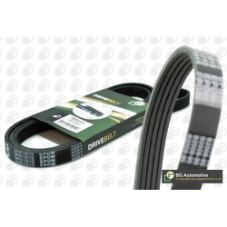 V formos rumbuoti diržai
                                BGA                                                5PK1256, BGA, 5P