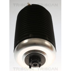 pneumatinė spyruoklė, pakaba
                                TRISCAN                                8720 29203, Nenurodytas