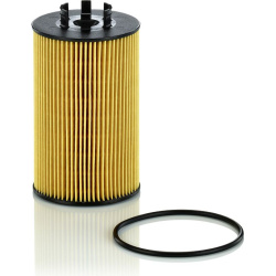 alyvos filtras
                                MANN-FILTER                                HU 9007 z, MANN-FILTER, HU9007z, au