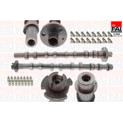 skirstomojo veleno komplektas
                                FAI AutoParts                                                CS