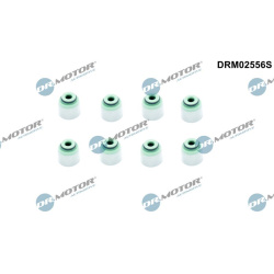tarpiklių komplektas, vožtuvo šerdis
                                Dr.Motor Automotive                                  