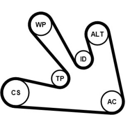 vandens siurblys + V formos rumbuotas diržas, komplektas
                                CONTINENTAL CTAM                   