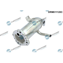 aušintuvas, išmetamųjų dujų recirkuliacija
                                Dr.Motor Automotive                          